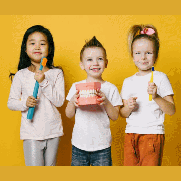 im-box-bnr_356x356_12